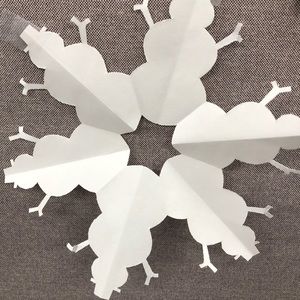 Meet your Posher, Janina